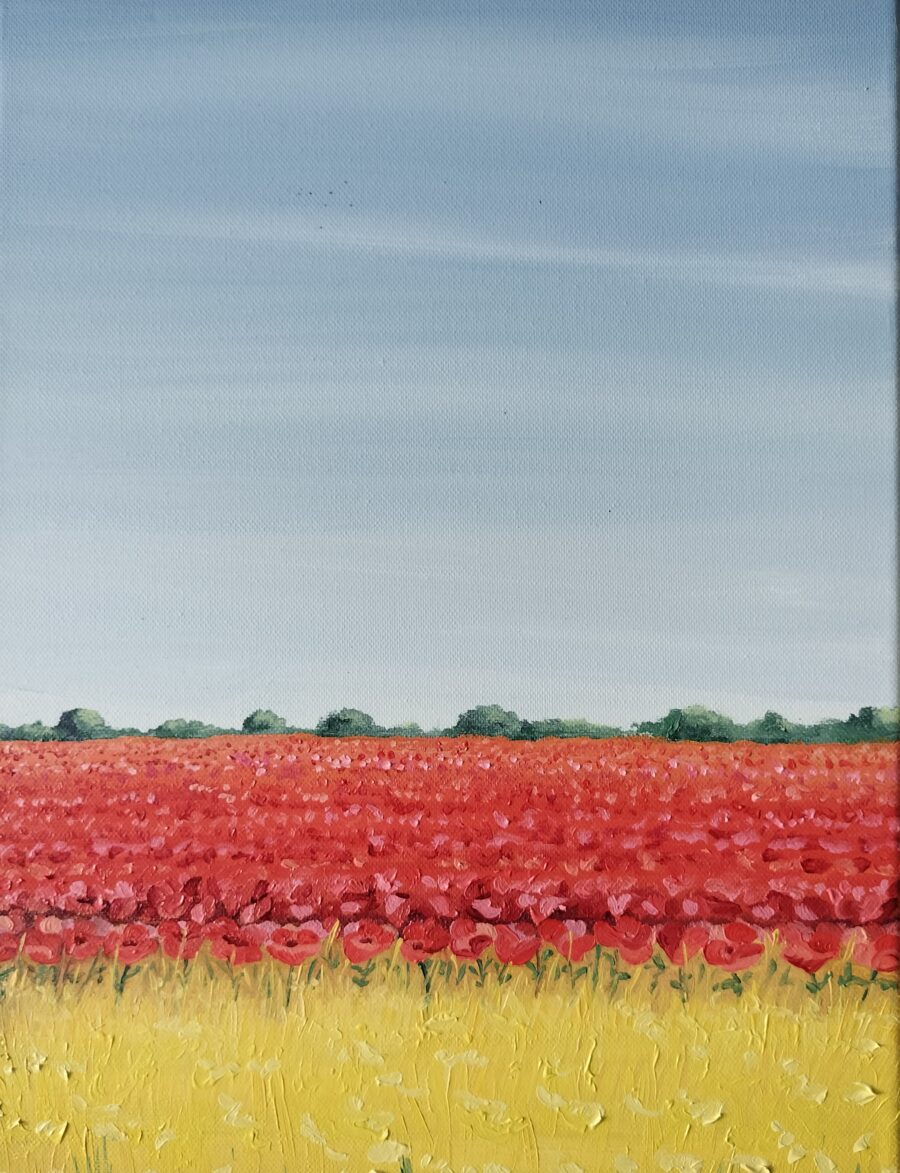 Paisajes de amapolas